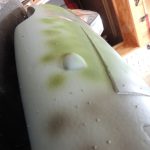DSCN4476